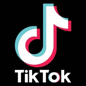 Tiktok Becomes A Platform For Sharing Knowledge About Pet Training 