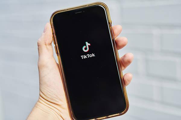 Tiktok Becomes A Platform For Sharing Knowledge About Pet Training 