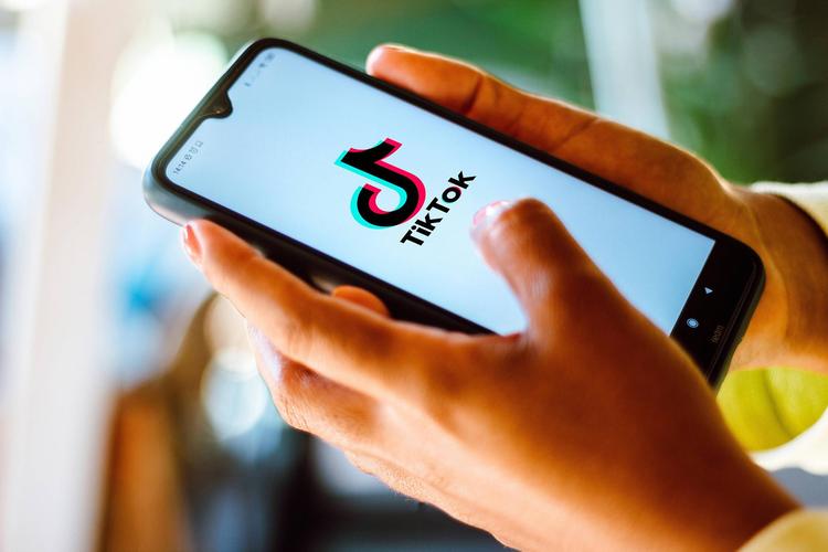 TikTok’s Battle Against Fake Accounts 