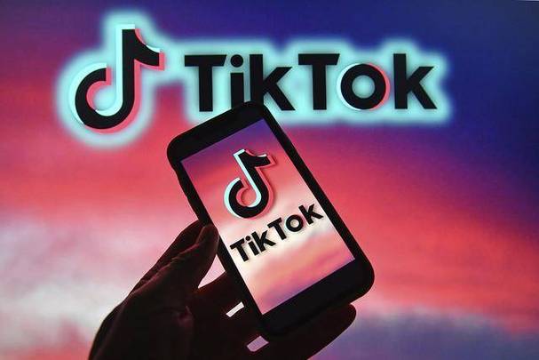 TikTok’s Battle Against Fake Accounts 