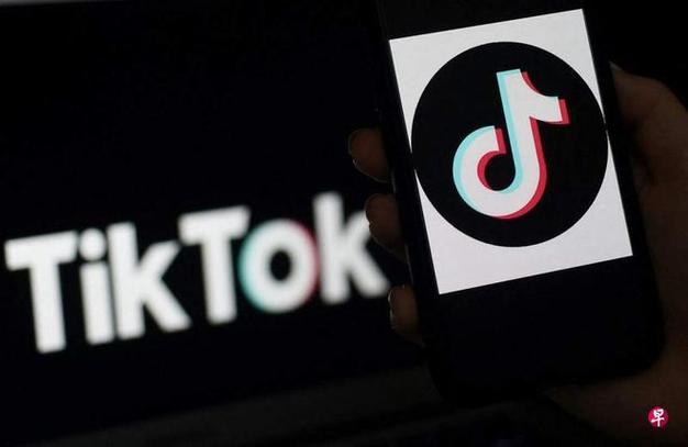 TikTok Partners with Animal Welfare Organizations for Pet Adoption Features