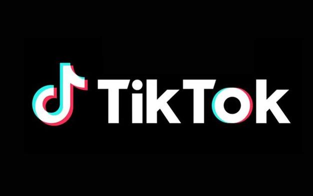 How TikTok's Algorithm Influences Political Discourse 